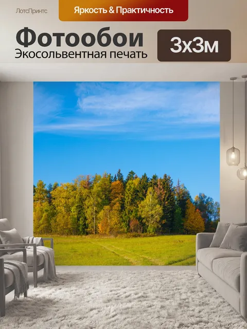 Фотообои небольшой лес осенью