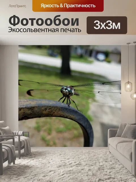 Фотообои Стрекоза