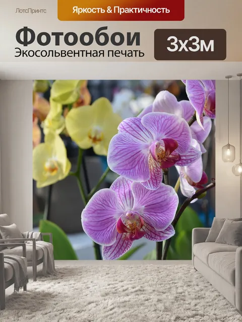 Фотообои Орхидеи