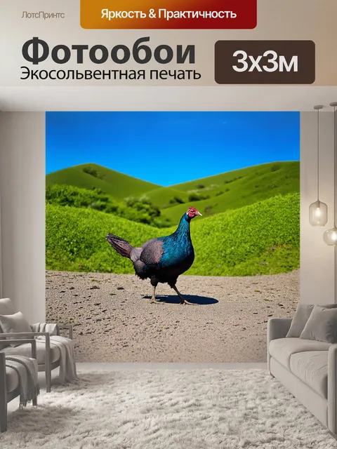 Фотообои цесарки, расправив свои перья, мирно прогуливаются по живописным холмам гваделупы