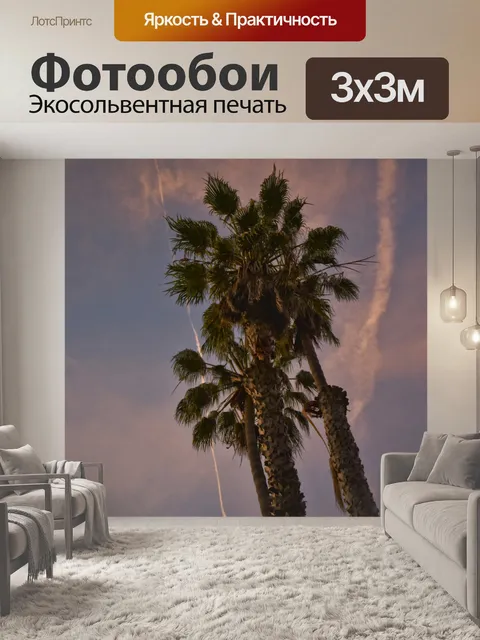 Фотообои Пальмовые деревья в сумерках
