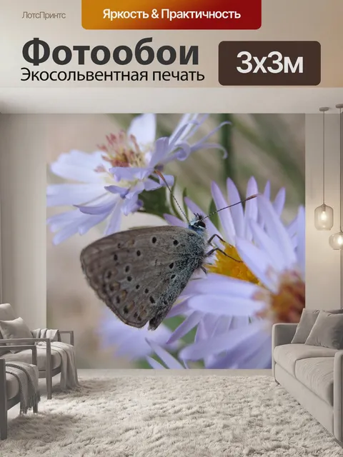 Фотообои Лазурное