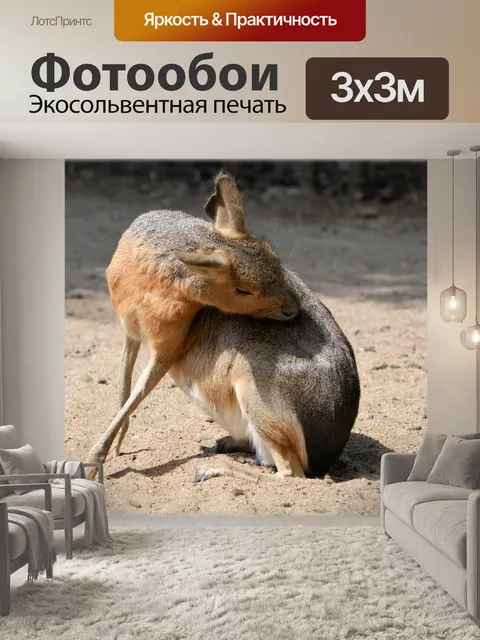Фотообои Мара 06