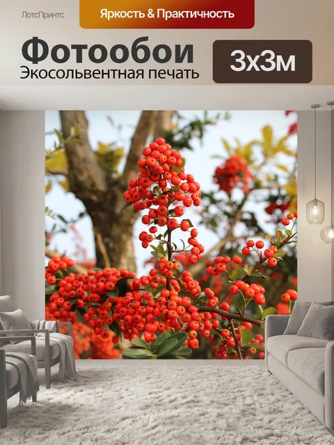 Фотообои Красные ягоды