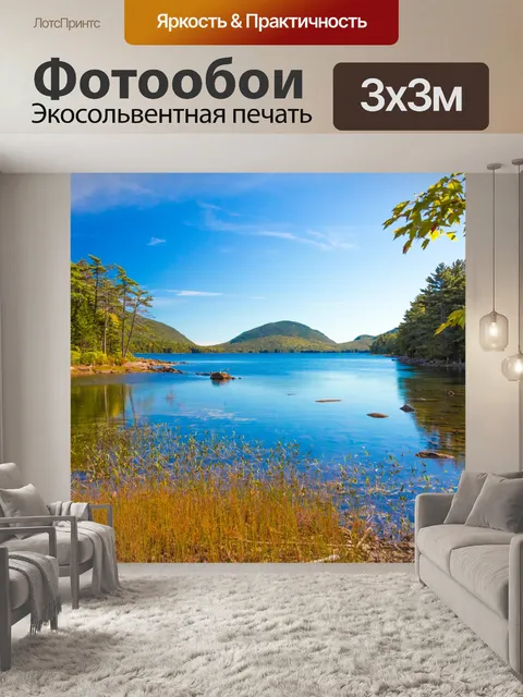 Фотообои орел акадия