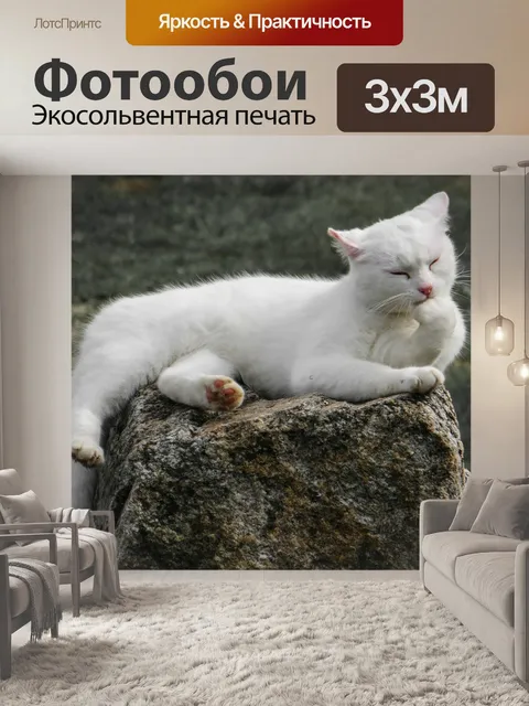 Фотообои Животное