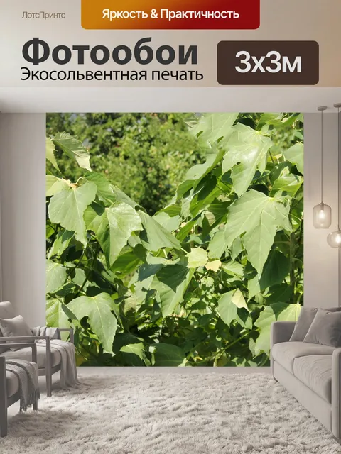 Фотообои зеленые листья фон 6