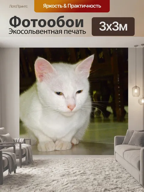 Фотообои Кошачьи глаза