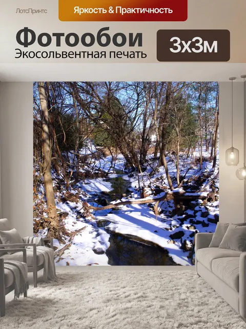 Фотообои Зимний парк