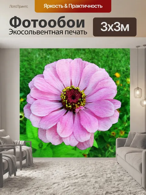 Фотообои Цинния Цветочная акварельная живопись