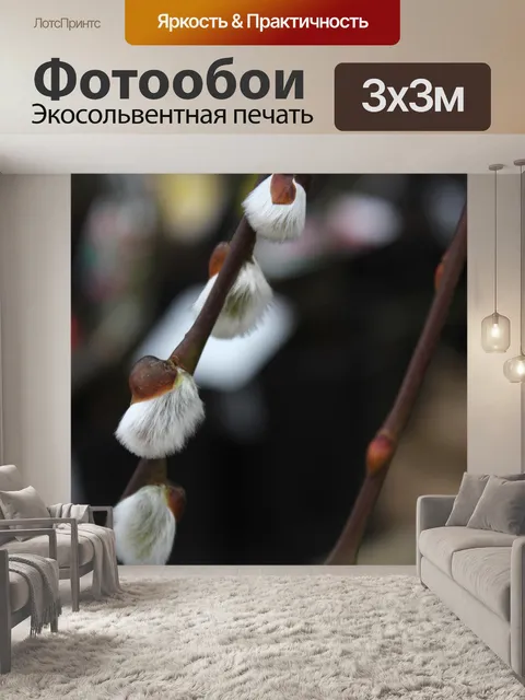 Фотообои Salix