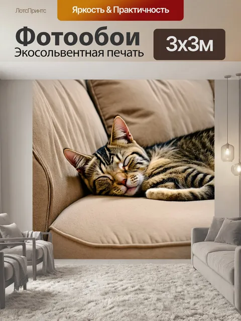 Фотообои котик, удобно устроившийся на мягком диване и мирно спящий