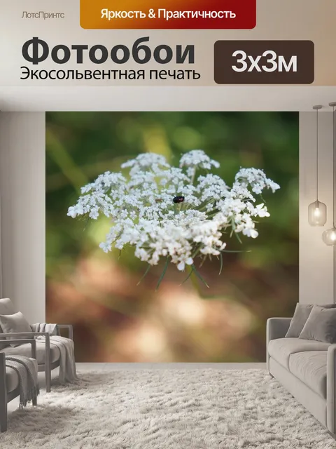 Фотообои Белый