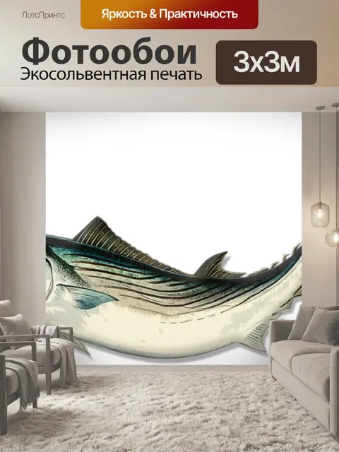 Фотообои Скумбрия