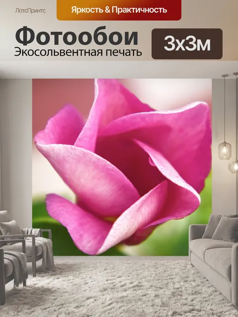 Фотообои Розовый колокольчик