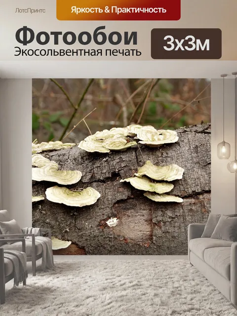 Фотообои Узлы