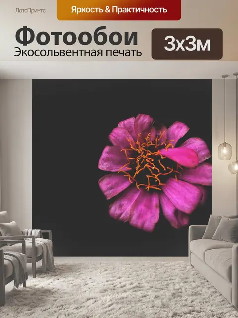 Фотообои Цветок