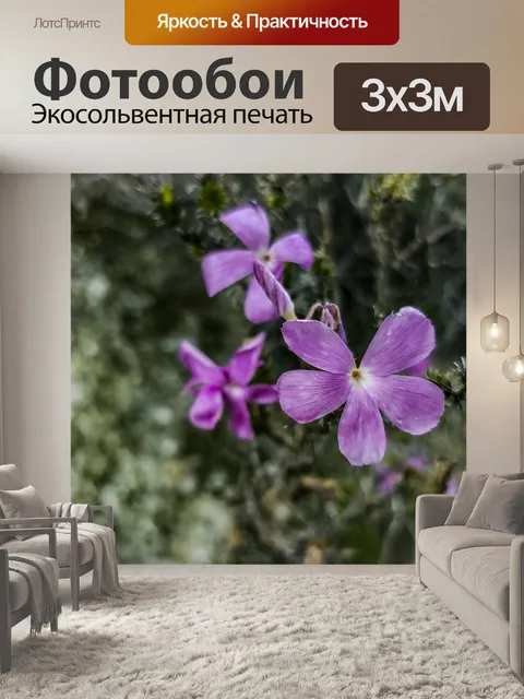Фотообои 5 лепестков розового полевого цветка