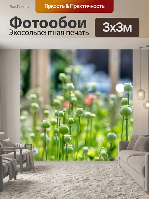 Фотообои Маковые капсулы