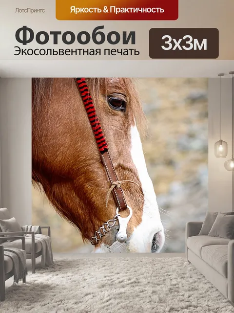 Фотообои Лошадь