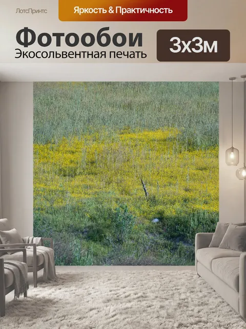 Фотообои Поле желтой горчицы