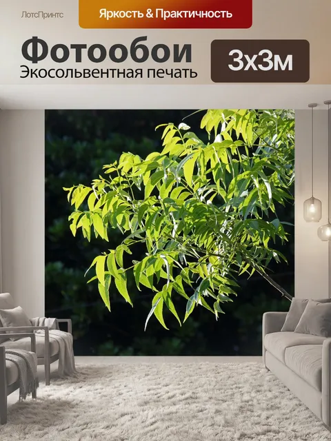 Фотообои ветка орехового дерева пекан с листьями