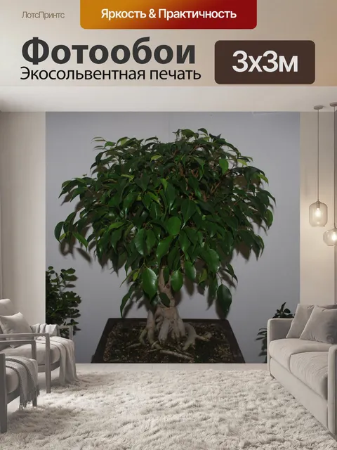 Фотообои Бонсай