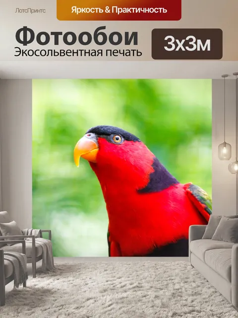 Фотообои Чернокожая Лори
