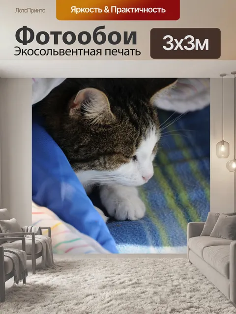 Фотообои Кошка