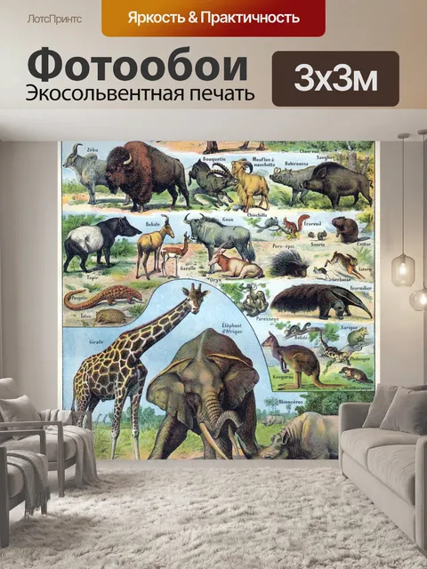 Фотообои Животные иллюстрации старинное искусство