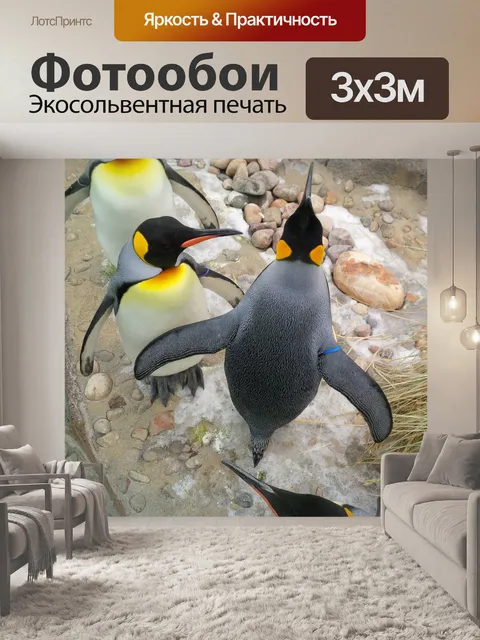 Фотообои Пингвины