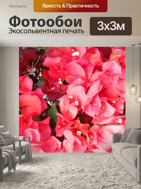 Фотообои Красный Бугенвиль Цветок