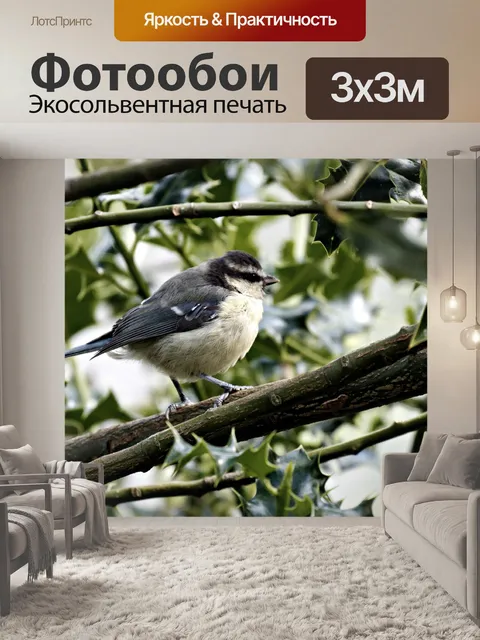 Фотообои Голубая синица