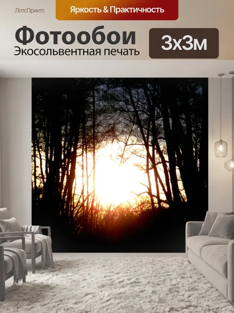 Фотообои закат между деревьями