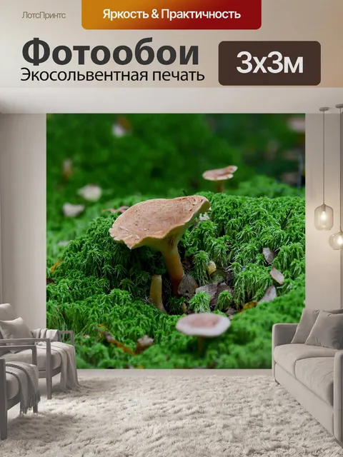 Фотообои Сбор грибов