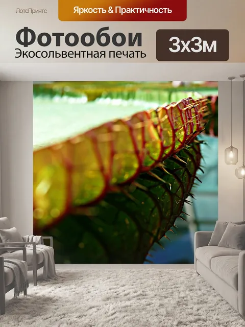 Фотообои Тернистый сторон