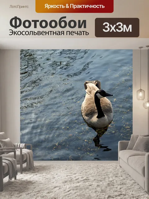 Фотообои Гусь