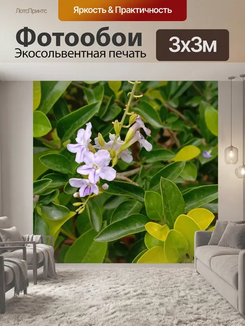 Фотообои Зеленое дерево