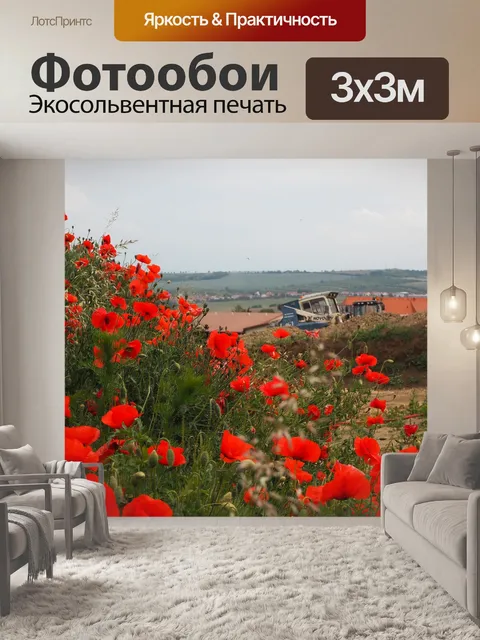 Фотообои Новые дома