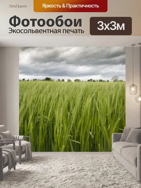 Фотообои Поле зеленого ячменя