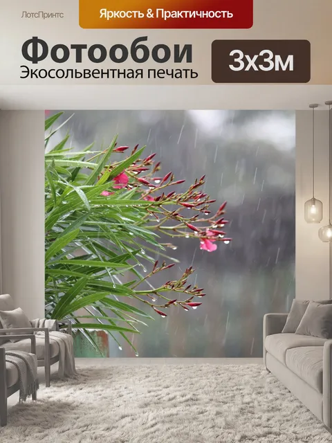 Фотообои Цветы