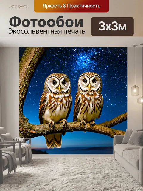 Фотообои животные в стиле полароидная фотография, стильные совы, сидящие на ветвях деревьев под звездами