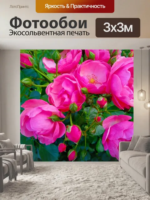 Фотообои Розы
