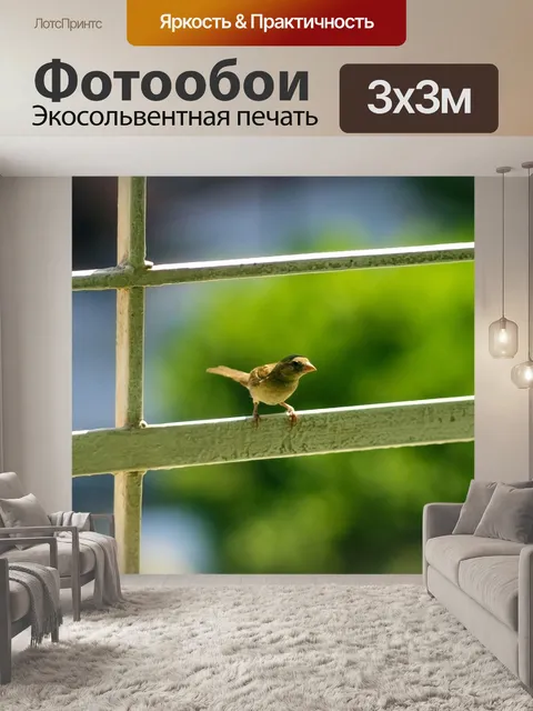 Фотообои Маленькая птичка