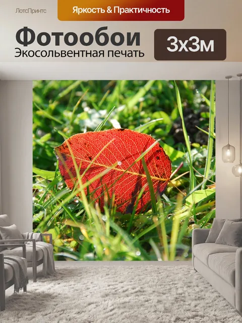 Фотообои Падение