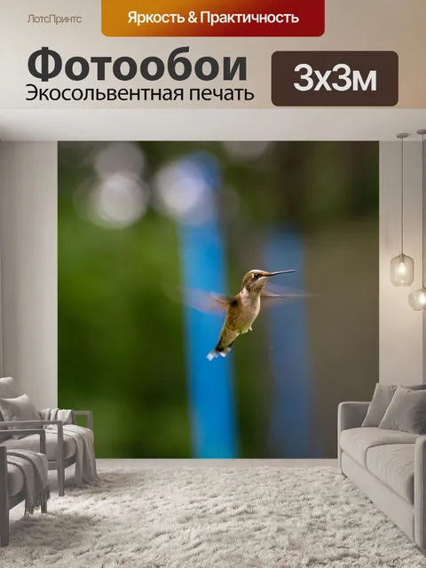 Фотообои Птица