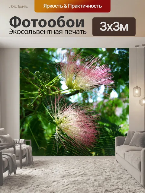 Фотообои Японская шелковая акация