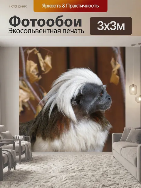 Фотообои Далекий предок