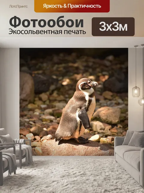 Фотообои Пингвин