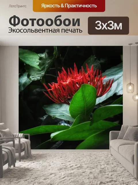 Фотообои Джунгли герань